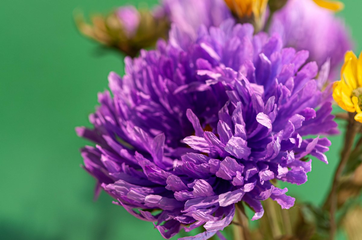 Martins Sitcs tweet media