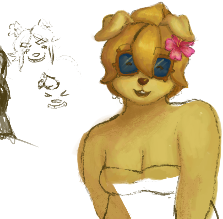 splitdailywoohoo tweet media