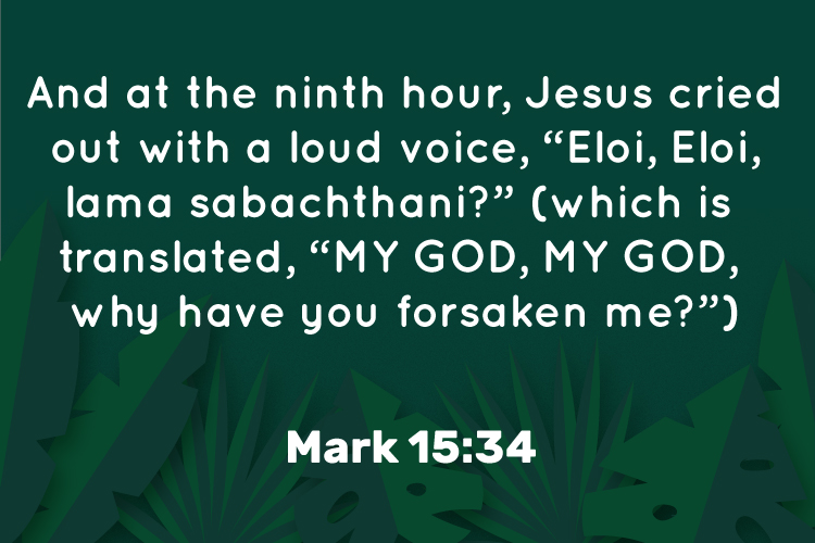 Trinity Lie tweet media