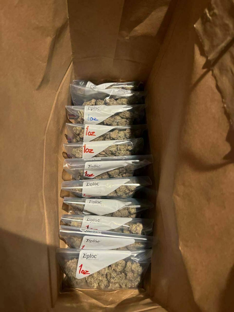 sincity seeds tweet media