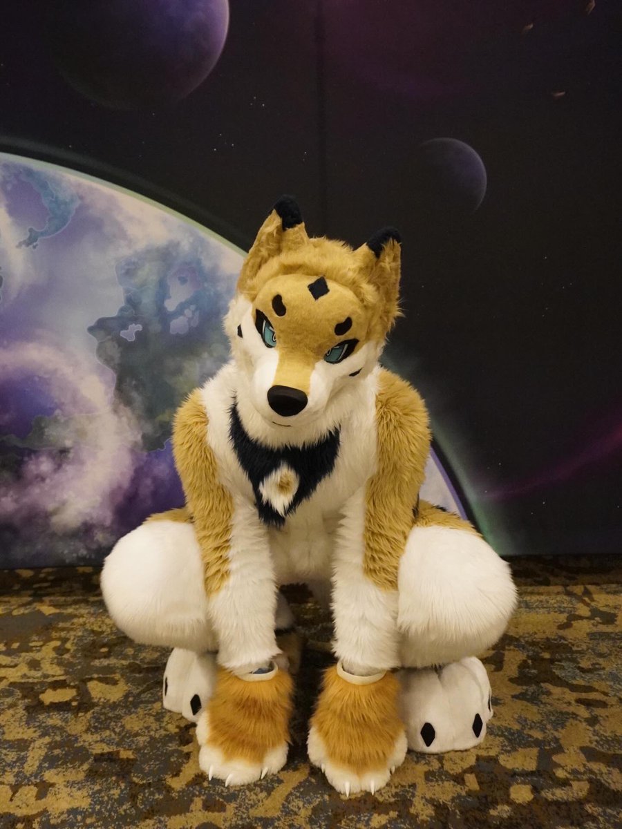 Cloud🔜FWA tweet media