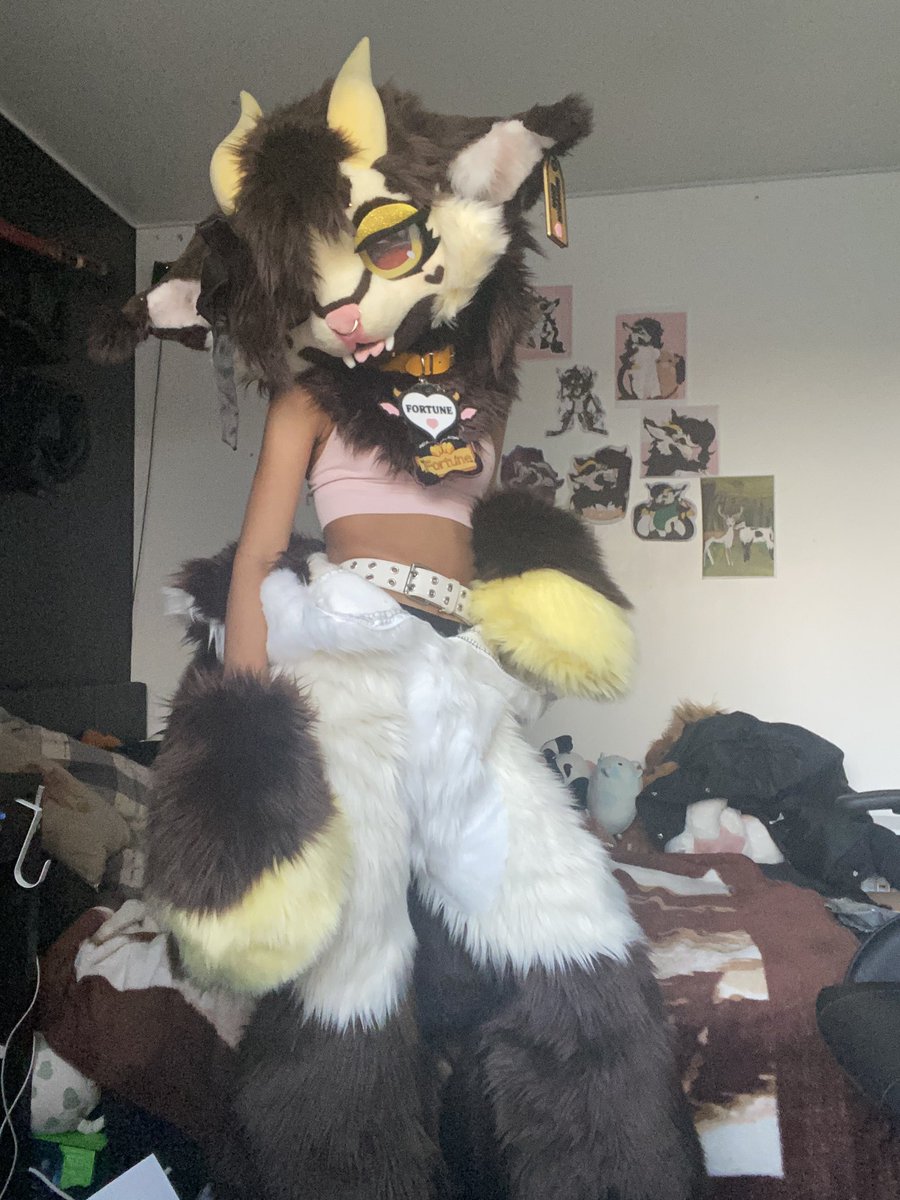 🍀🐮Clover 🔜 CFz26 tweet media