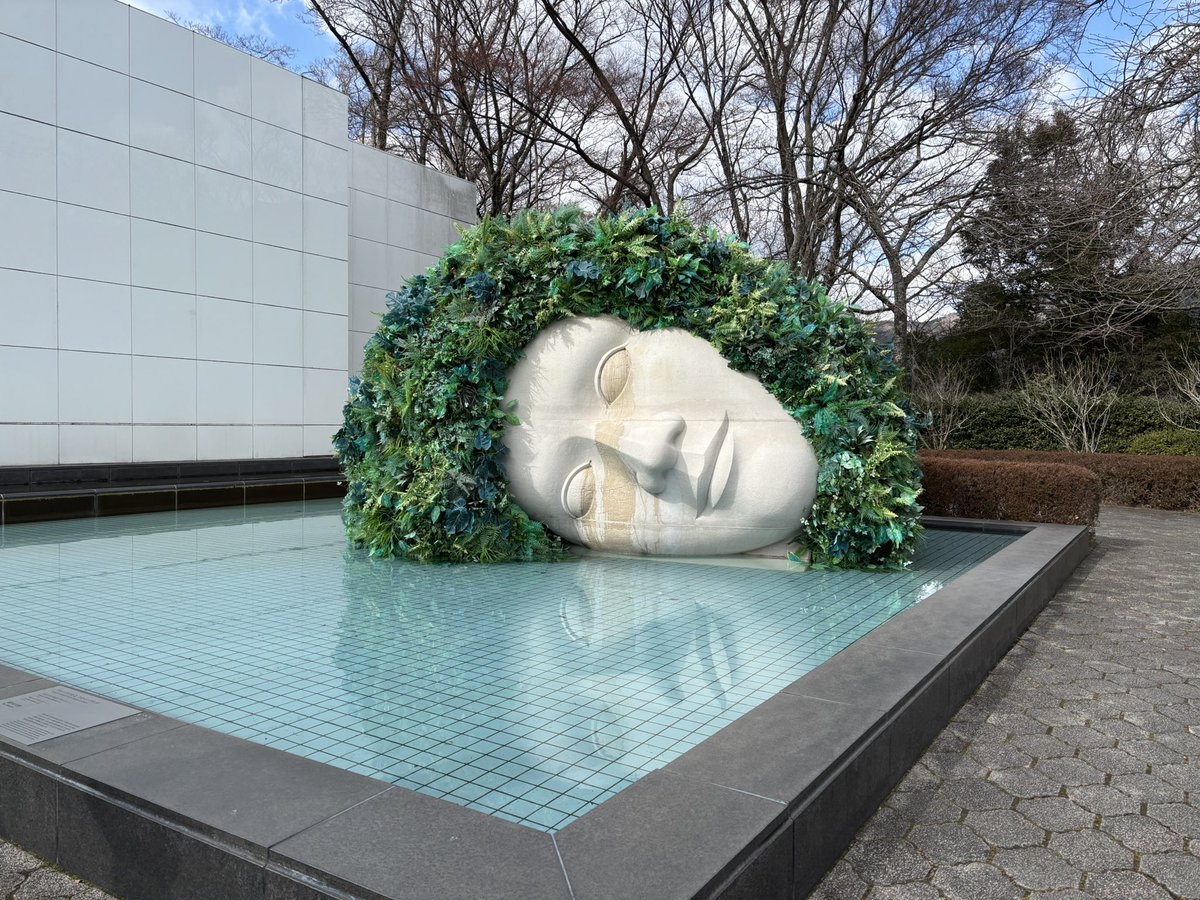 ひなぽっぷ tweet media