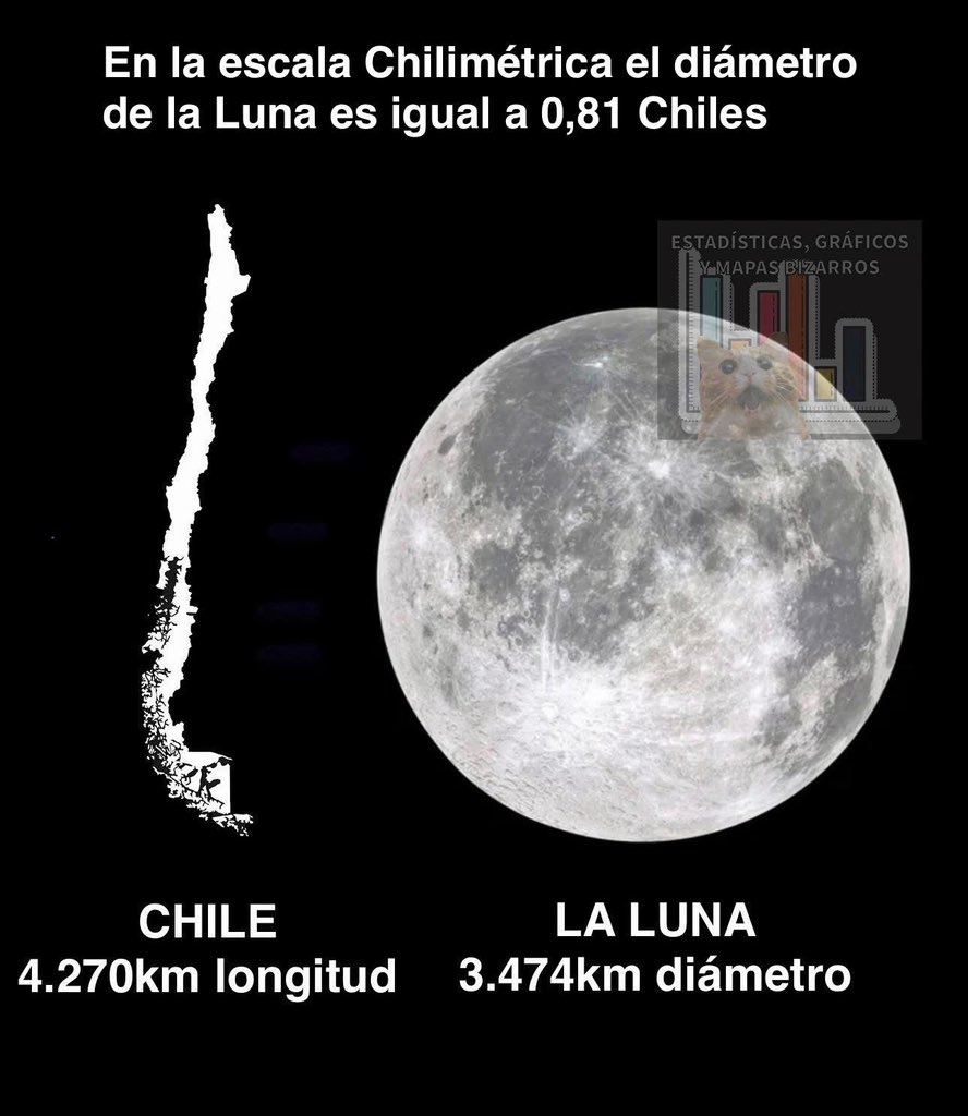 BowTiedMara tweet media