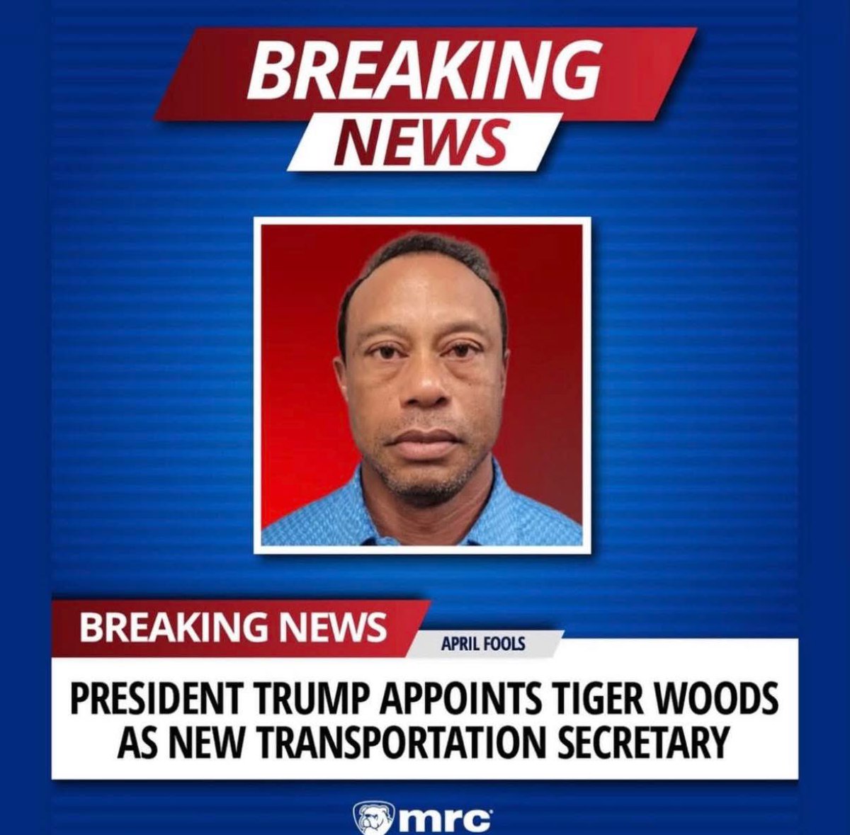 Linda CALI ☦️ tweet media