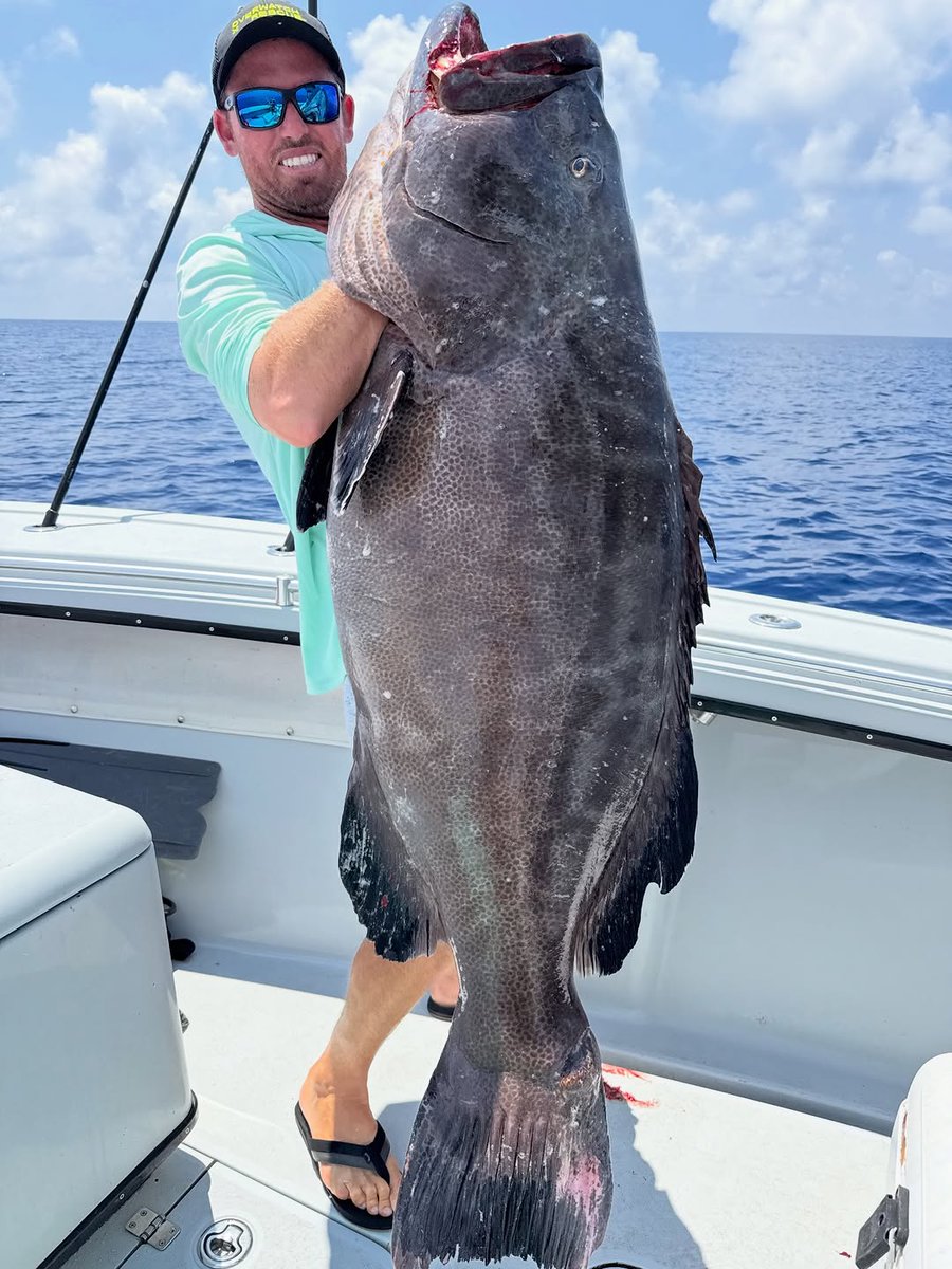 Fishing Niche tweet media