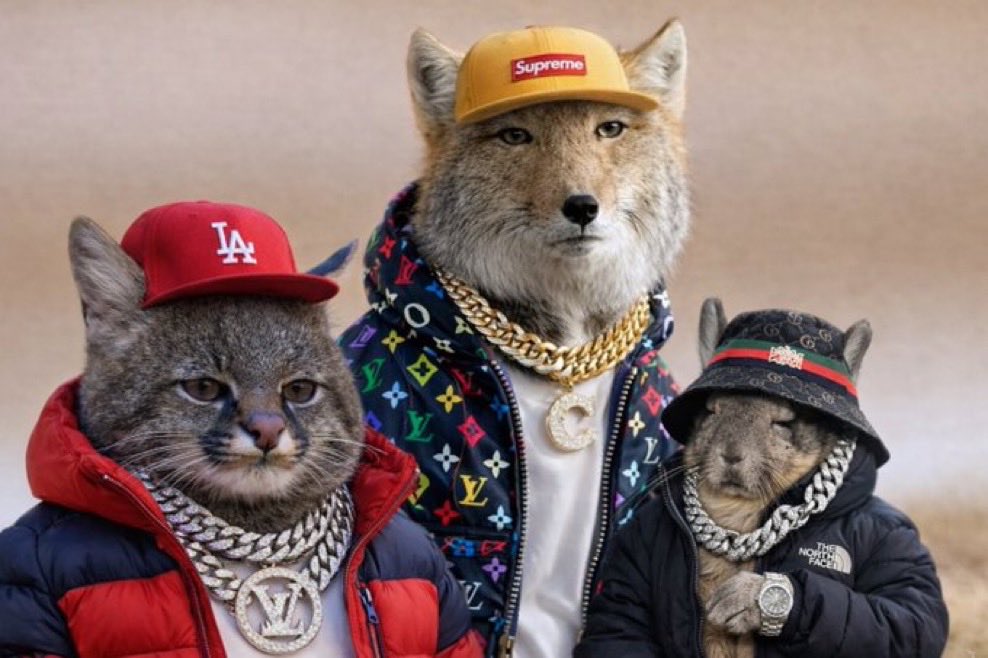 Gandalf the Drunk tweet media