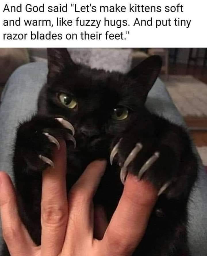 Spill The Memes tweet media