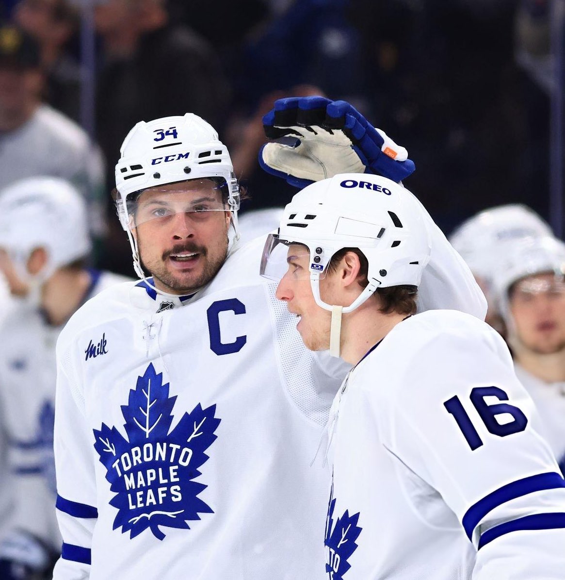 Leafslatest tweet media