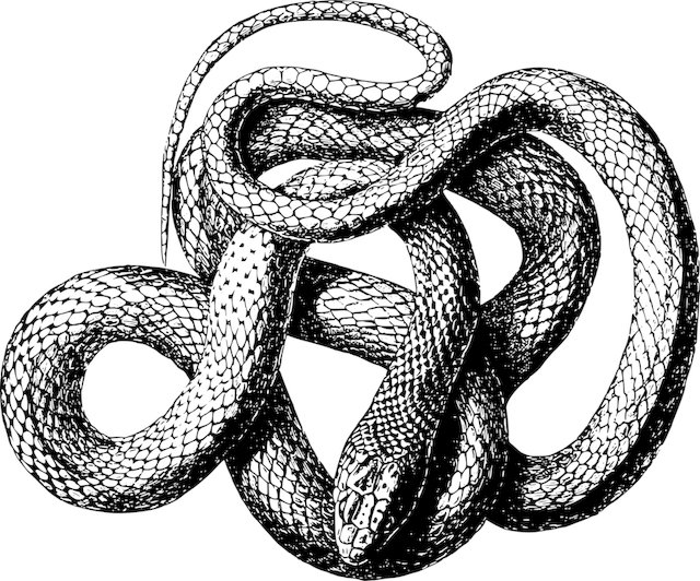 風丸＠レバレッジYouTuber @kazemaru8082 tweet media