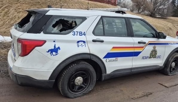 Strait of Canso News tweet media