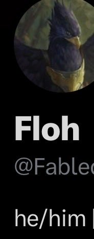 Der Marcel 🤝 tweet media