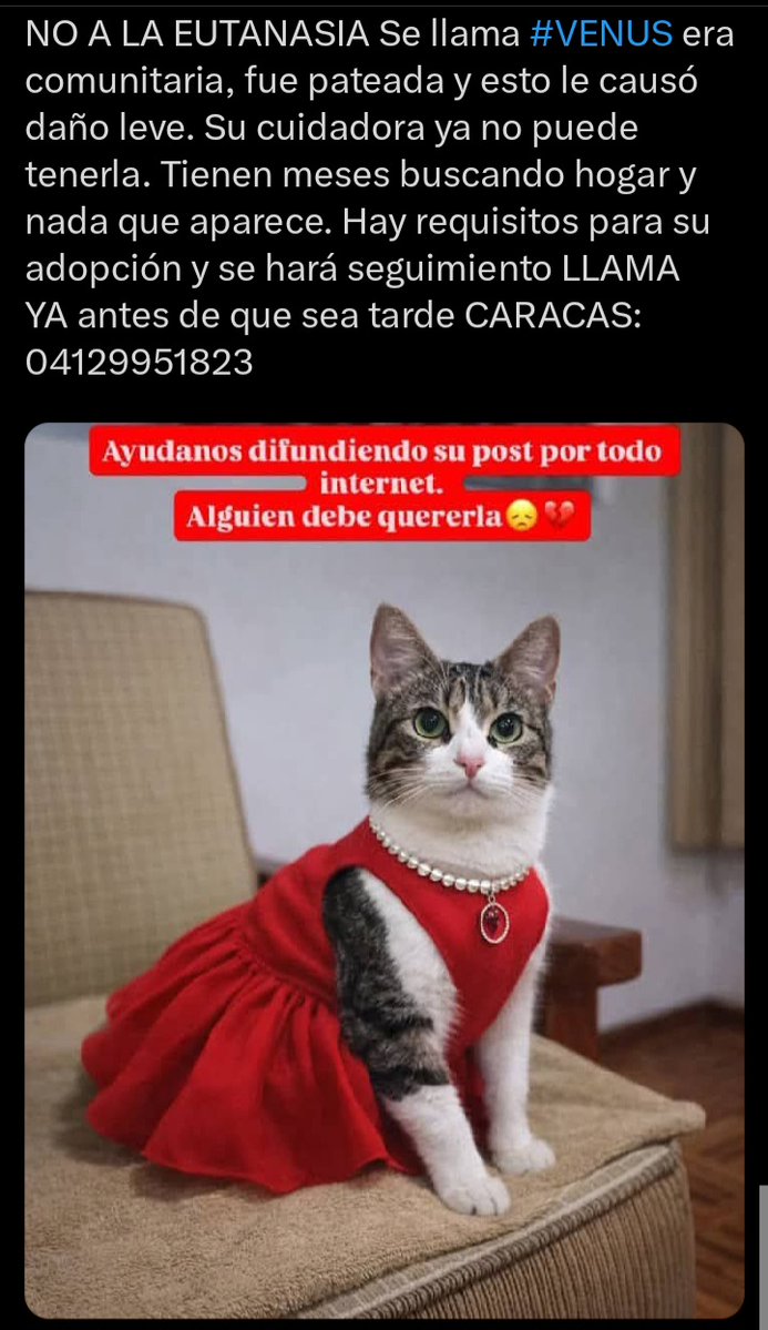 #3Abr. Ahora van a justificar con la eutanasia la eliminación de los michis o cualquier ser vivo? #LuluSomosTodos. QUÉ PASA?