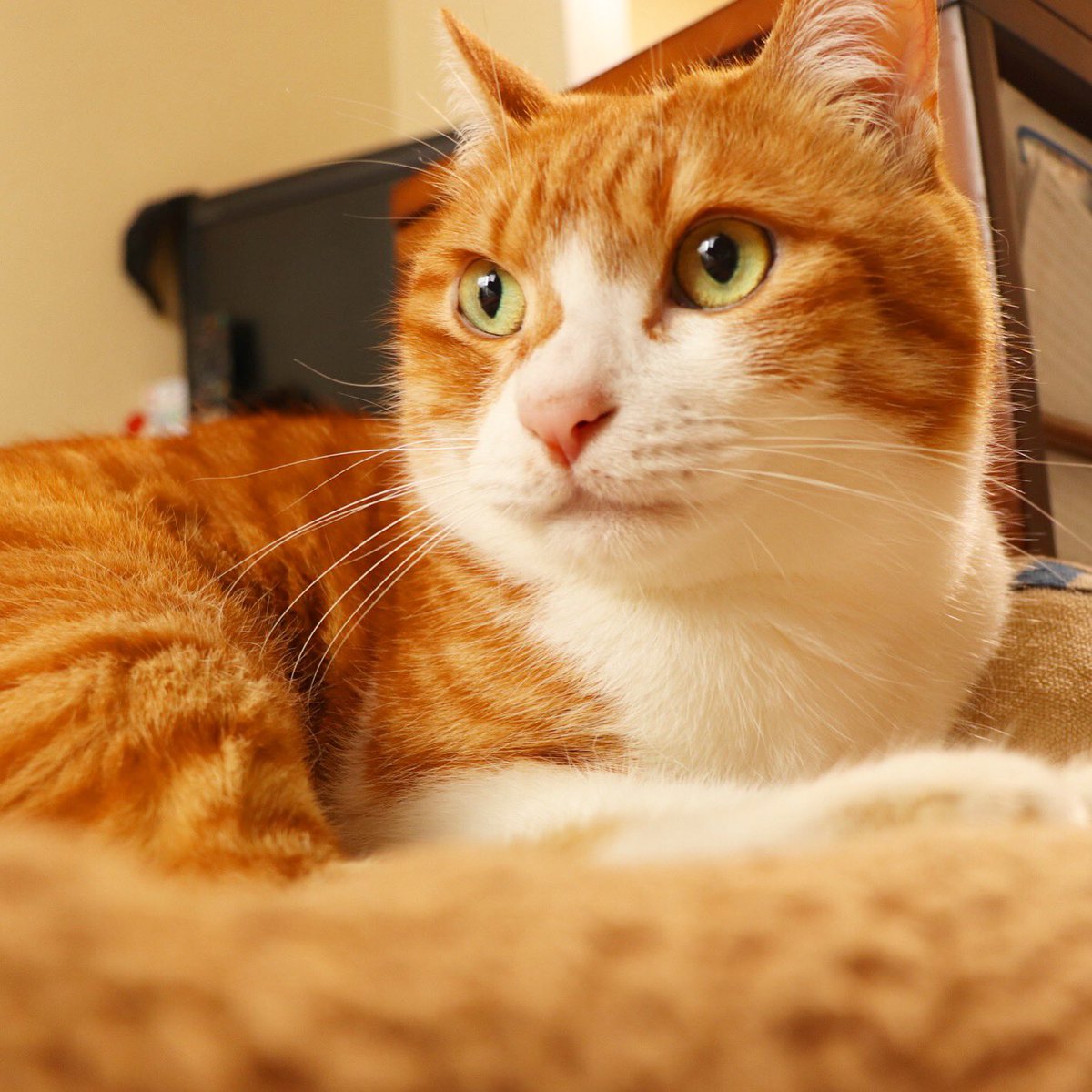 酒処 うりへい　南千住 tweet media