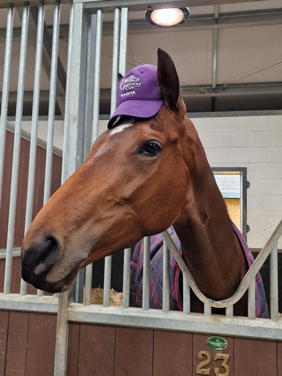 Tracy 🏇 tweet media