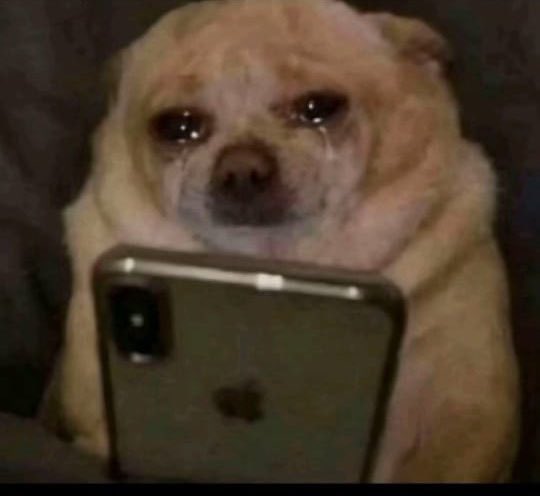 Slayerᵀᴹ🥷🏼 tweet media