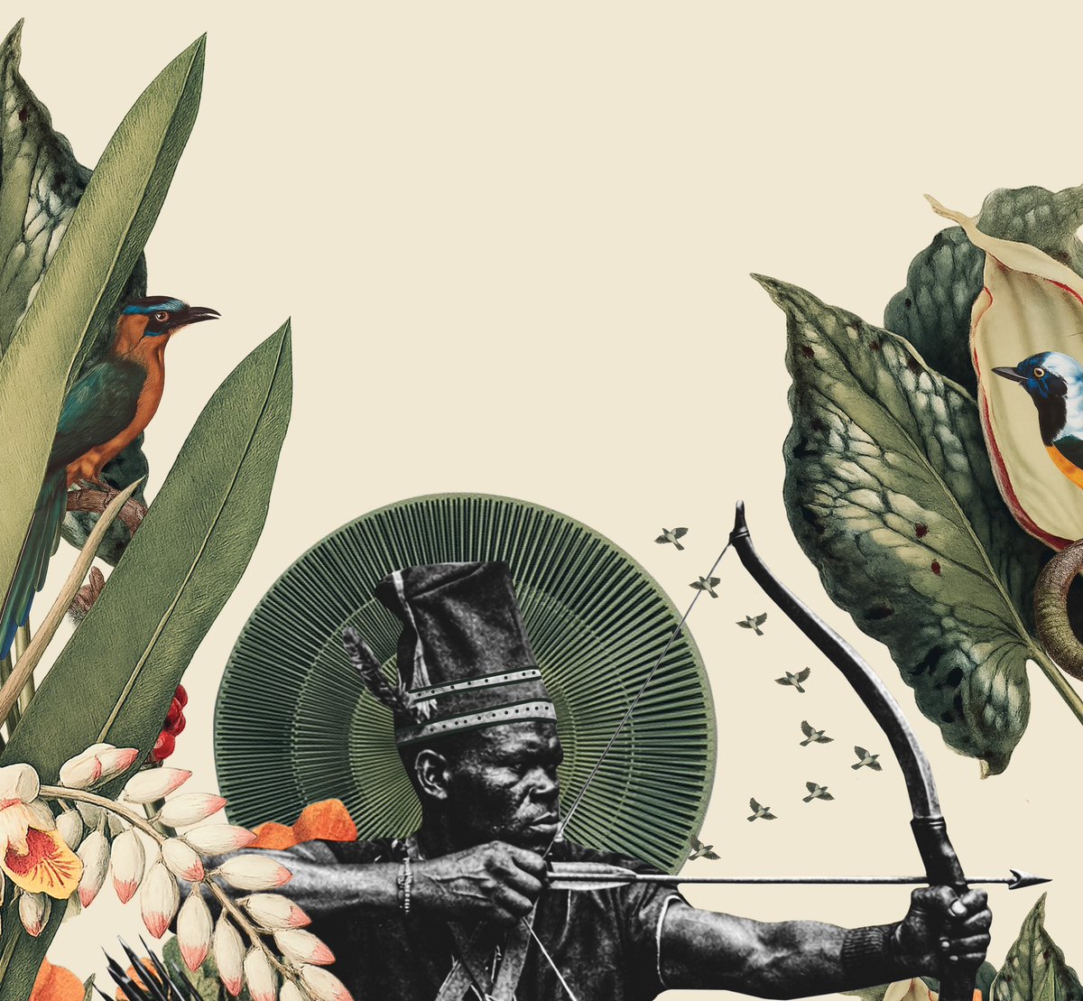 thais silva tweet media