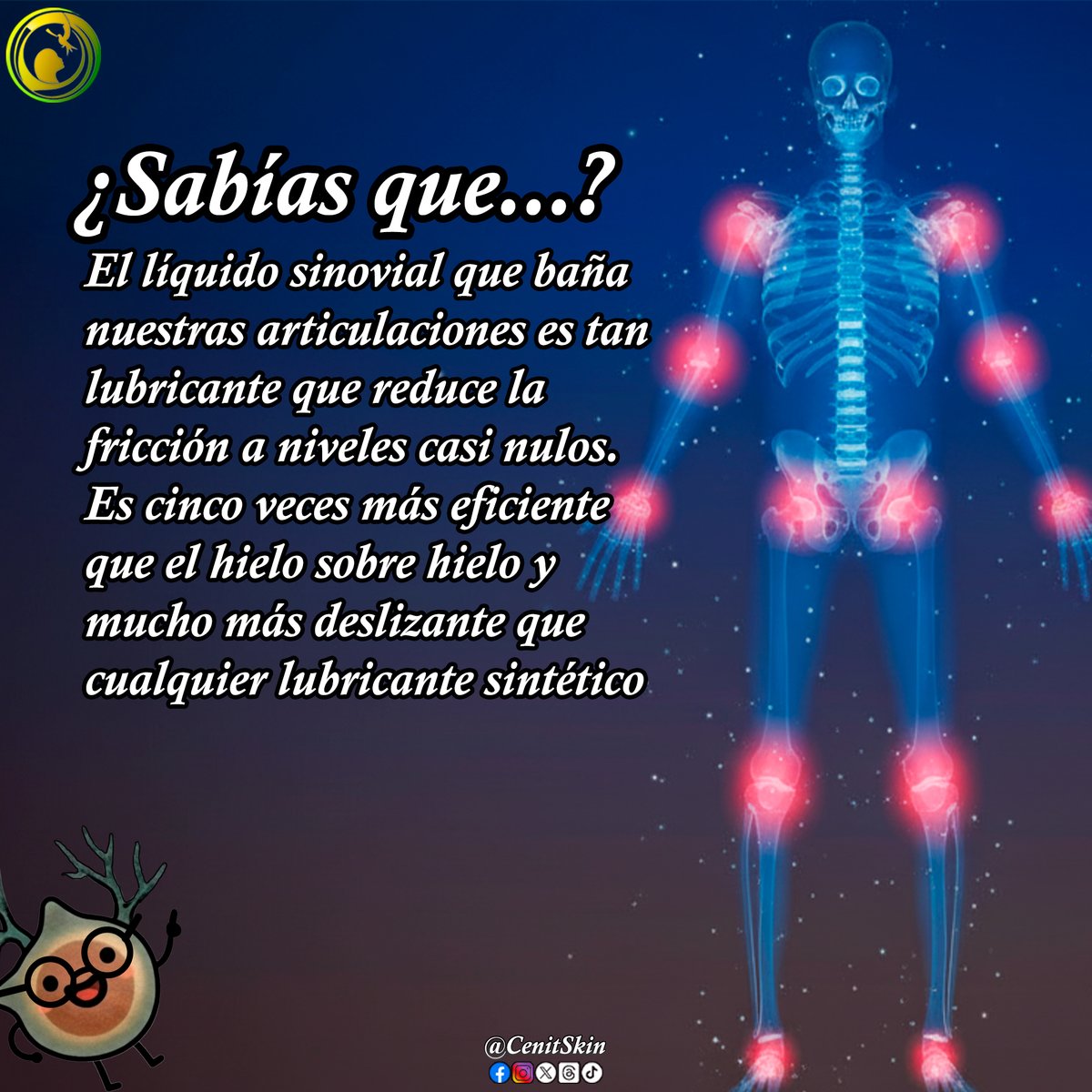 cenitskin's tweet image. El lubricante de nuestras articulaciones es fascinante; su viscosidad cambia según la presión. Al movernos lentamente, es muy fluido para facilitar el deslizamiento, pero ante un impacto repentino aumenta su viscosidad para proteger el cartílago.

#Datoscuriosos #SabiasQue #Salud