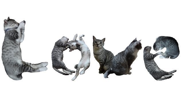 gal౨ৎ tweet media