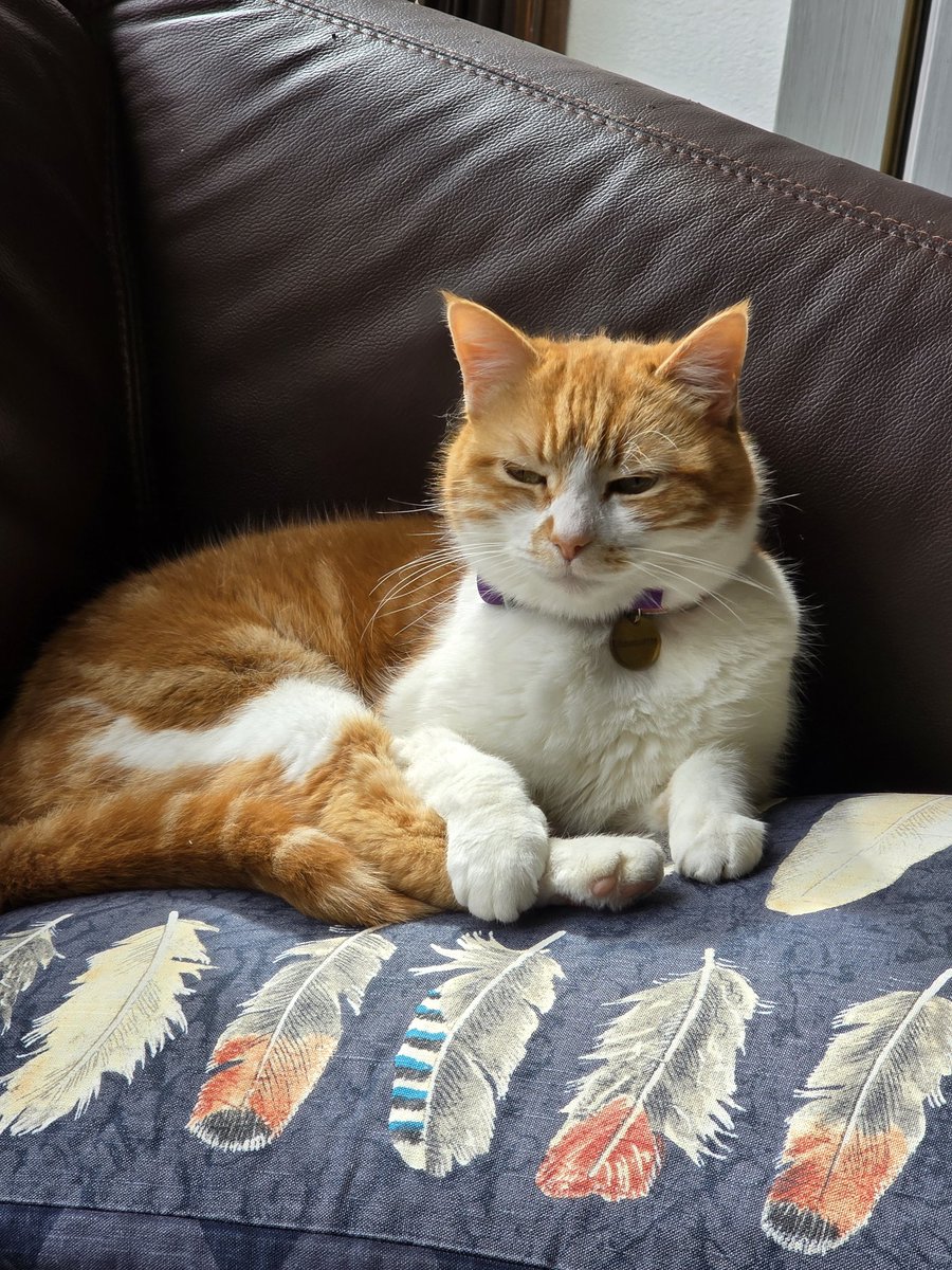 Nadejda Pommier tweet media