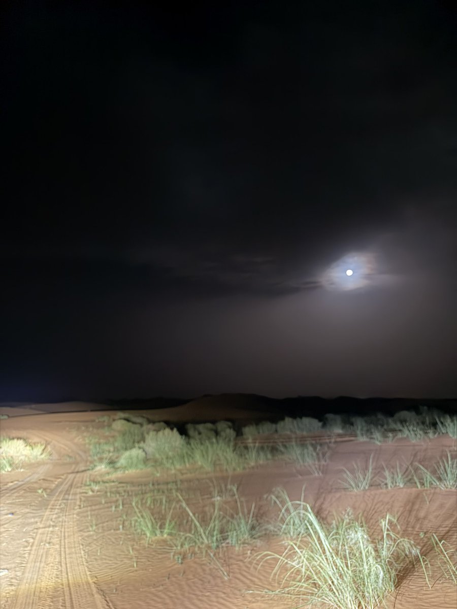 مستنير tweet media