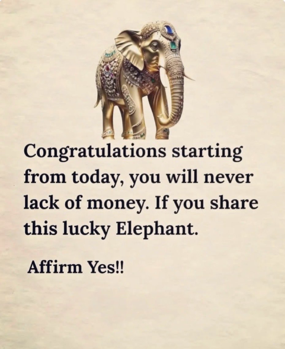 findinmyway2luv's tweet photo. 🐘 https://t.co/jlIhFDTz5E