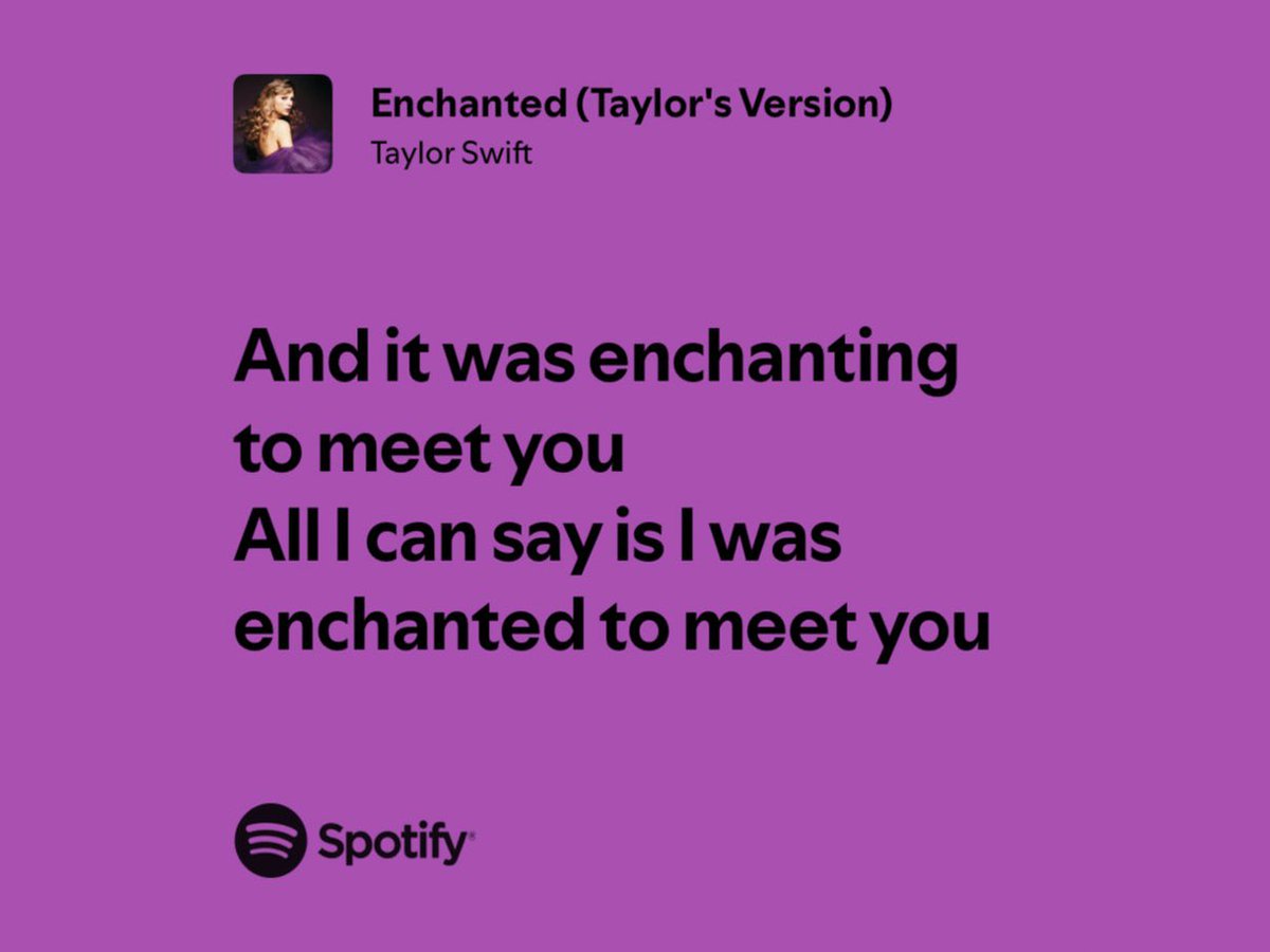 lili 🐈 tweet media