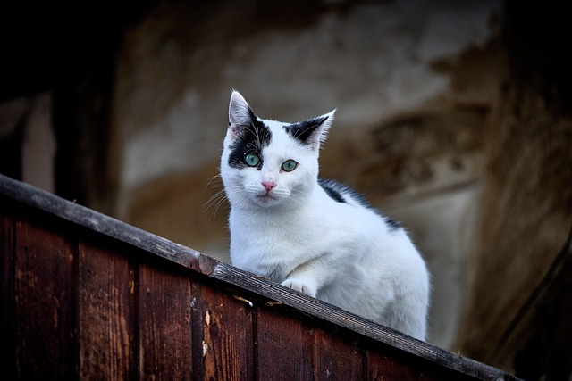 Greta Gonzales tweet media