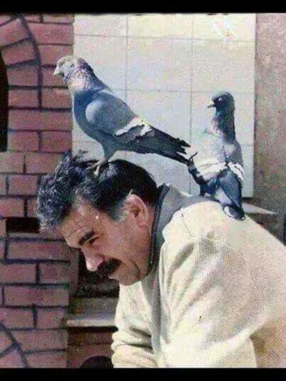 Leyla #DefendRojava tweet media