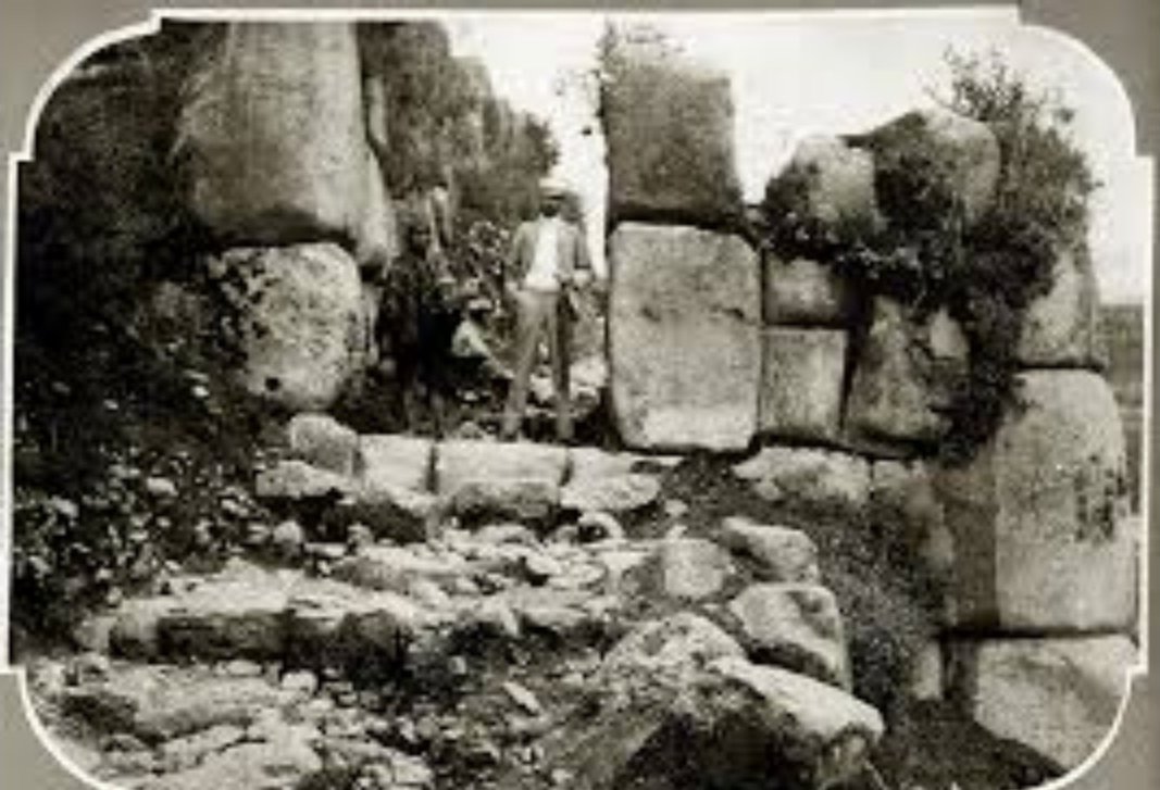 The Stone-Nub Language tweet media