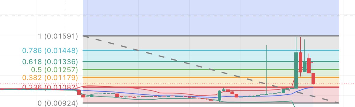 Duarte Rodrigues tweet media