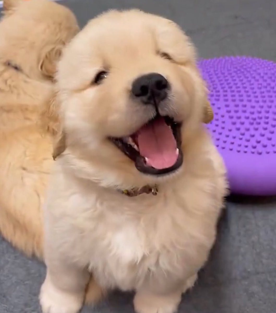 ชลก✴️ tweet media