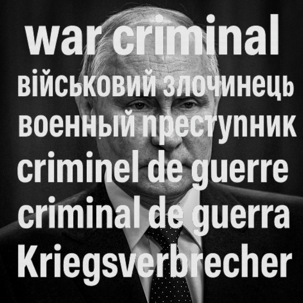 Frank Sophon tweet media