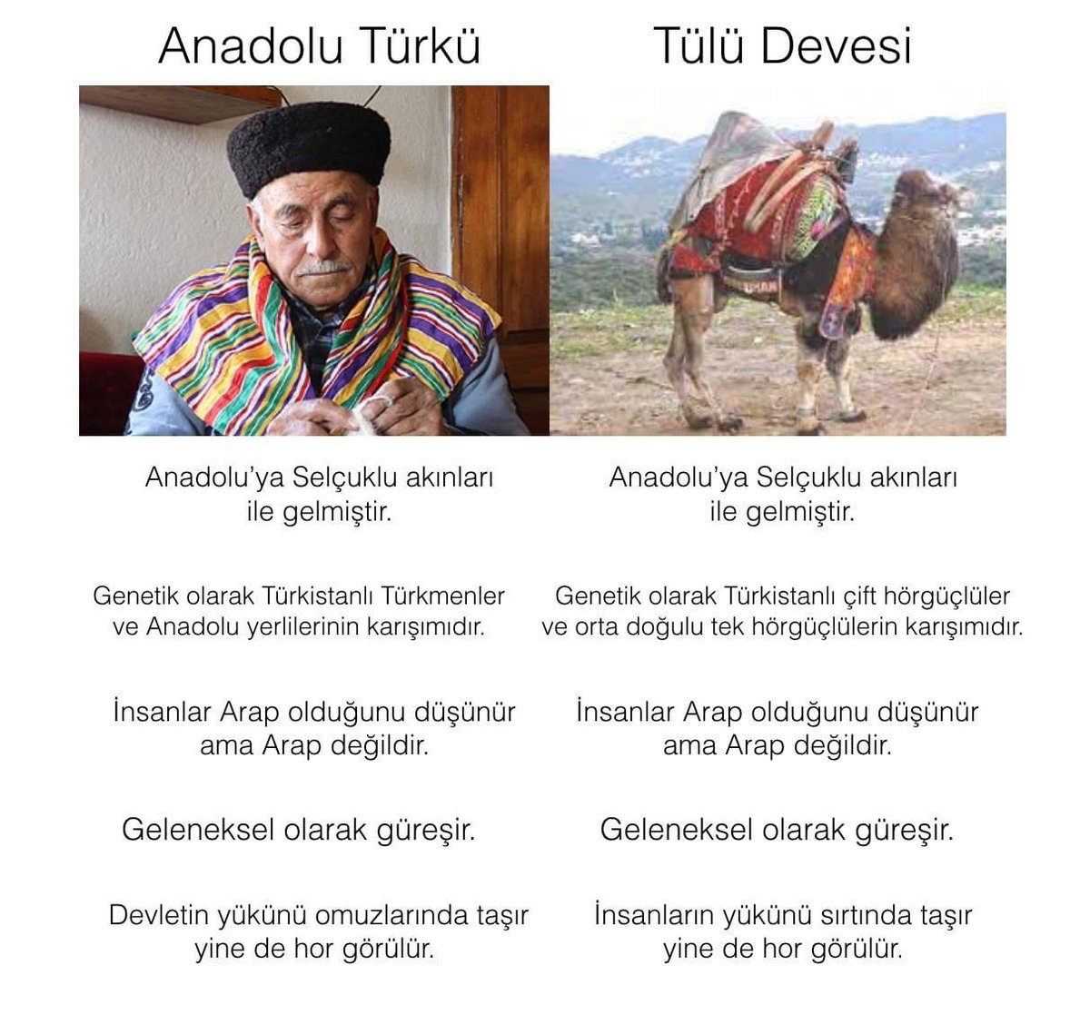 Edmondullah ރ tweet media