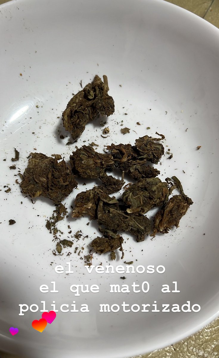 joven negro & certificado tweet media