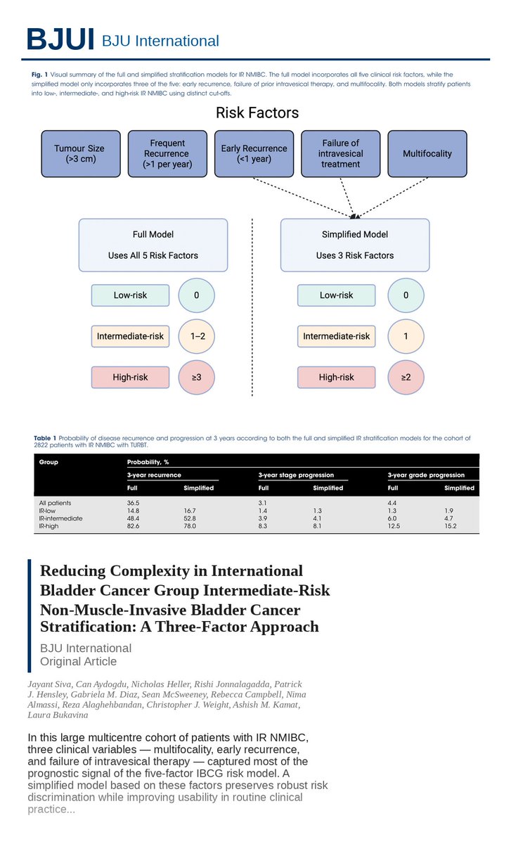 Laura Bukavina tweet media