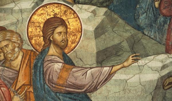 Јасмина tweet media