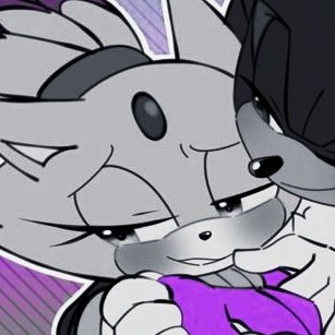 —‍‍ ‍ ‍ kitten .ᐟ ༢ tweet media