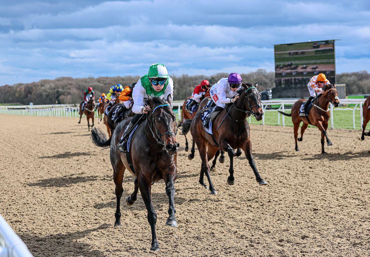 Billy Loughnane tweet media