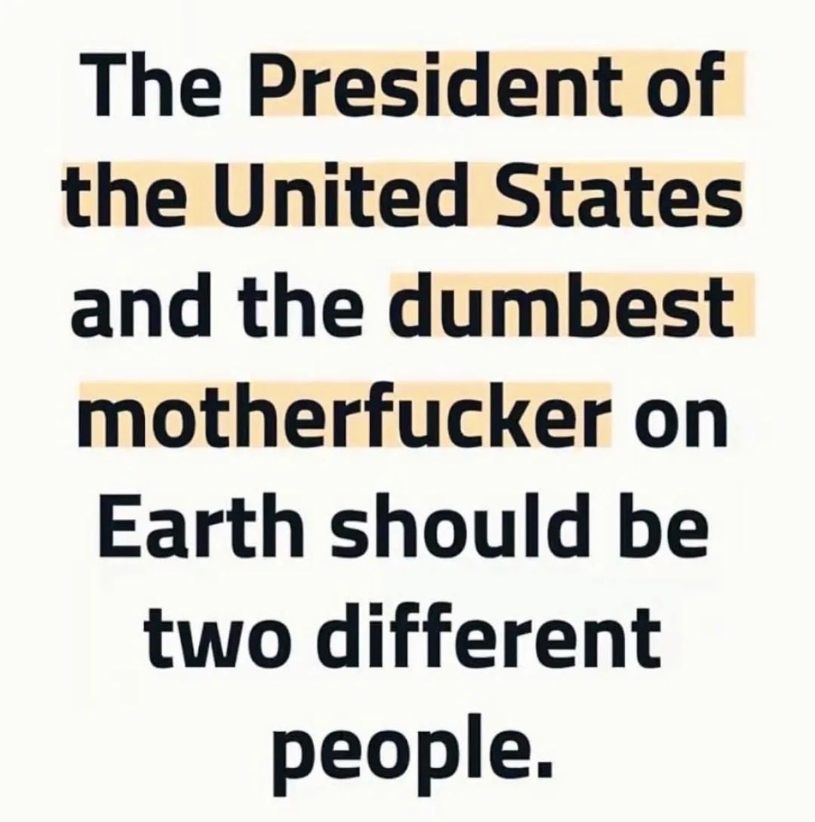 Cat Mauling Musk (& others) tweet media