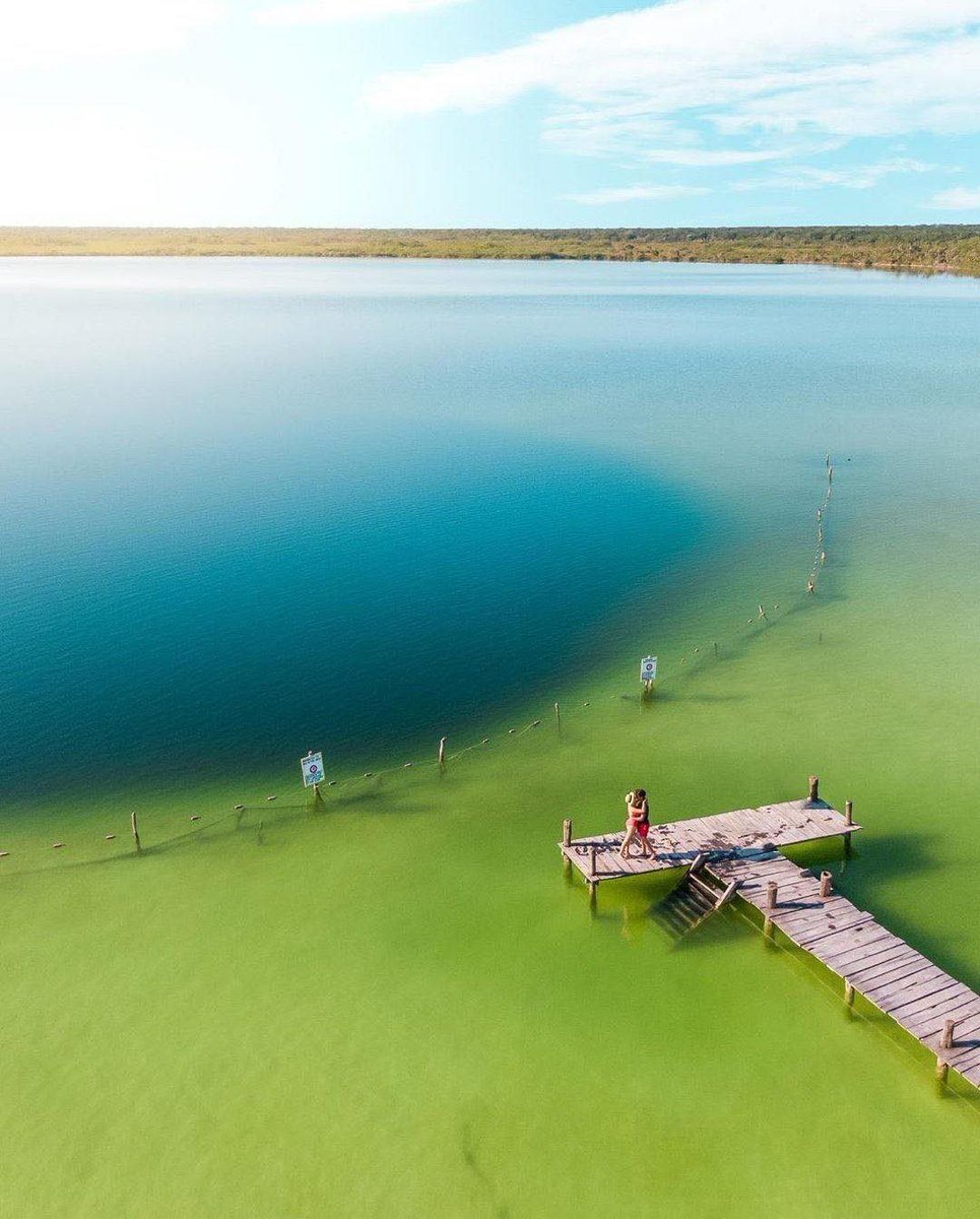 Espíritu Curioso tweet media