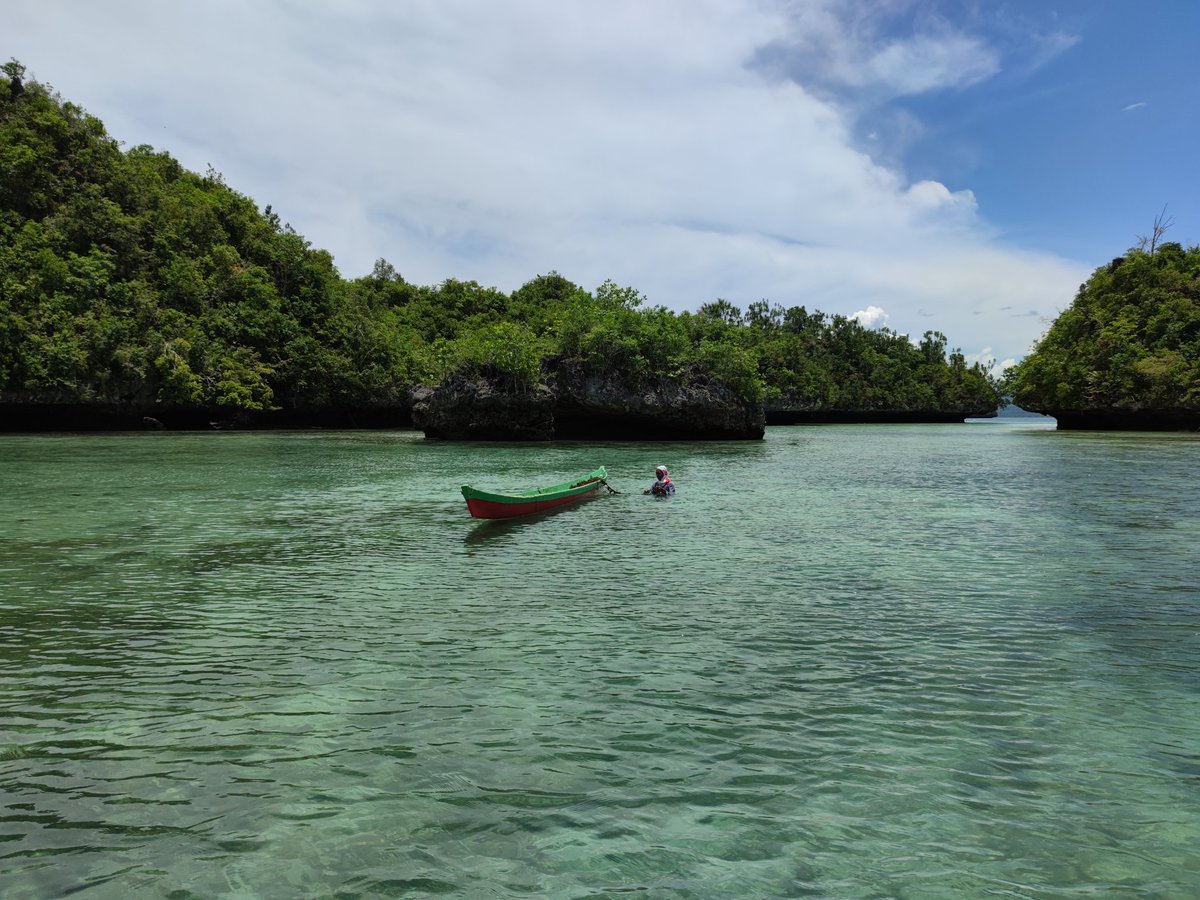 222 Mountains For 🇵🇸 tweet media