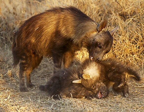 HourlyYeen tweet media