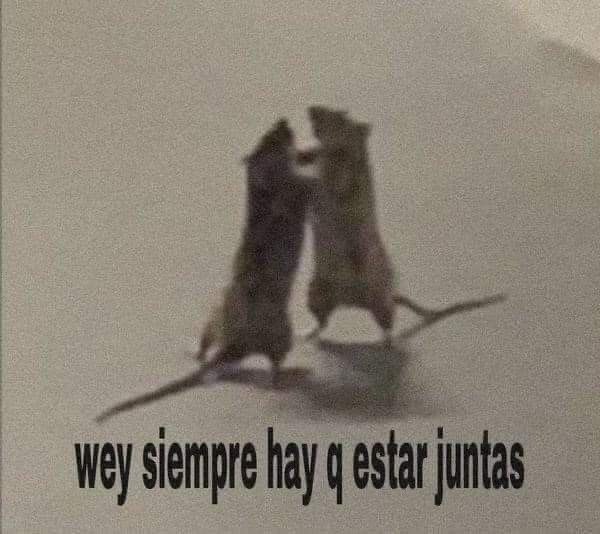 Ɩcα ☆ 🐣 tweet media