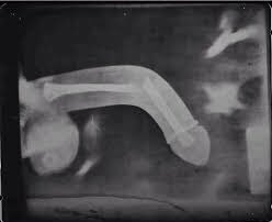 Dibia 😈 tweet media