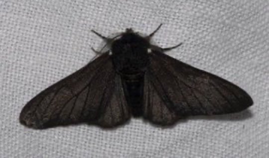 𝓇𝒶𝓏𝒶𝓃 tweet media