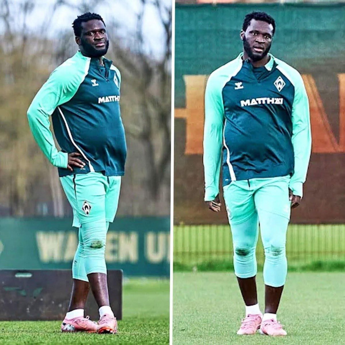 José I. Araoz tweet media