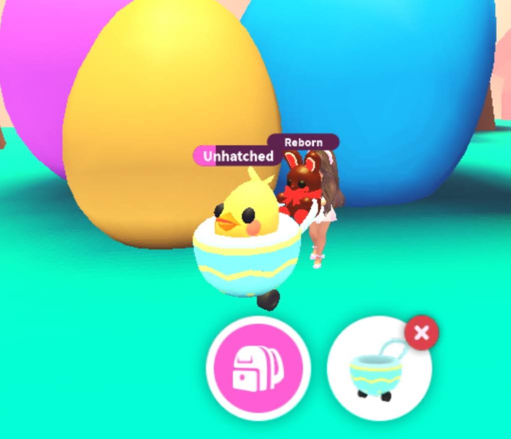 Bububear tweet media