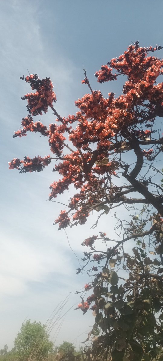 Prashant pandey tweet media