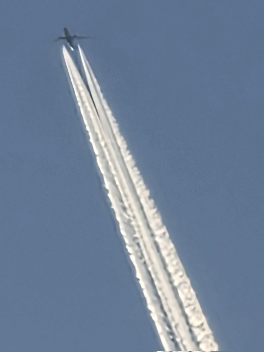 Anti Lockdown Alliance(GLOBAL) tweet media